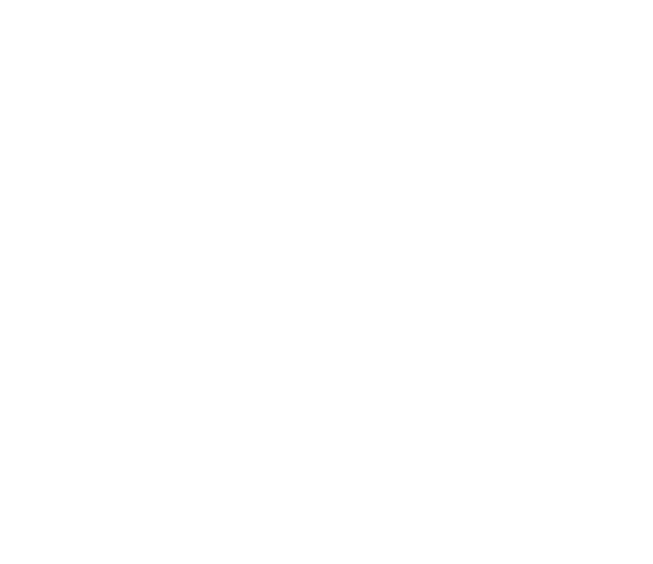 Kenny Chesney